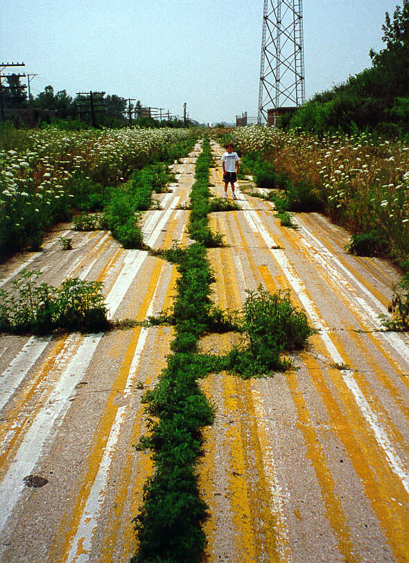 Ladd Street