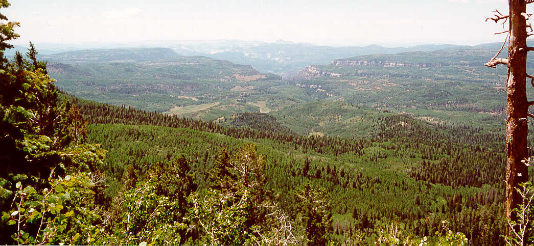 Utah 14-2