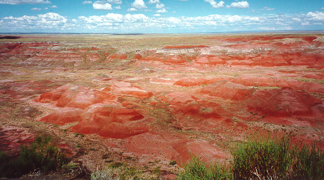 Painted Desert - Tiponi Pt.