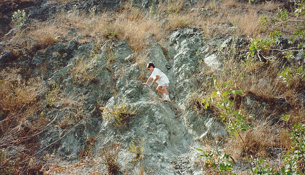 Ryan prospecting