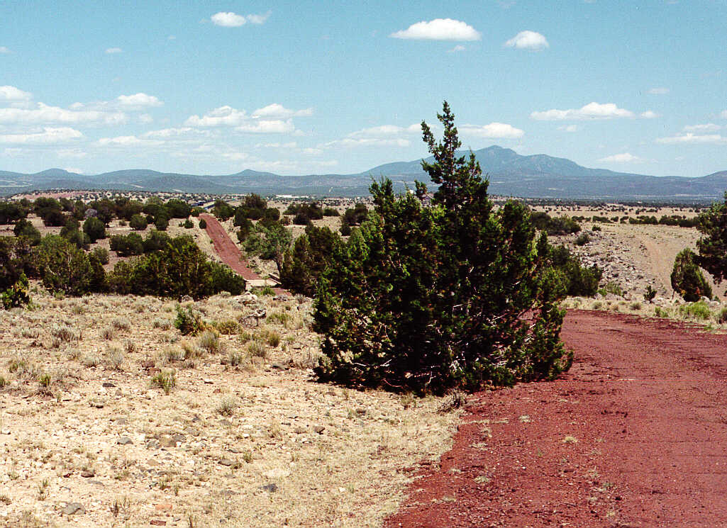 Partridge Creek Bridge