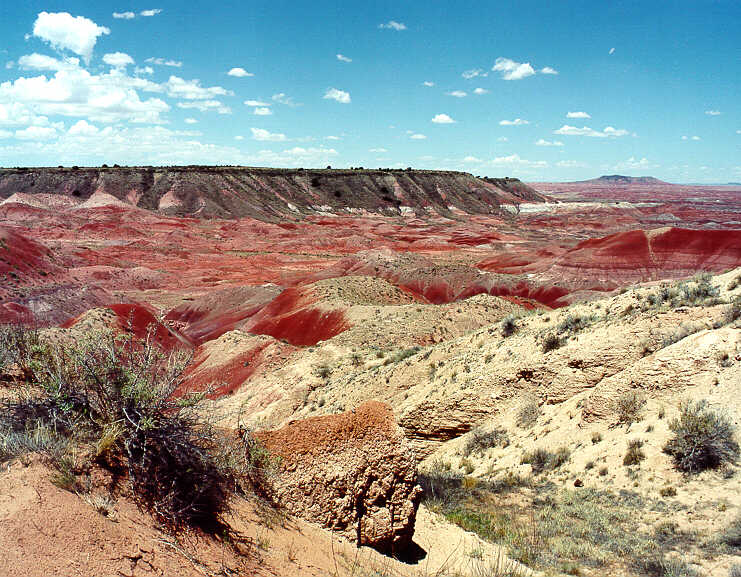 Painted Desert National Park - Mesa