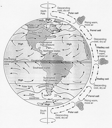 What are the major wind patterns of earth - The Q&amp;A wiki